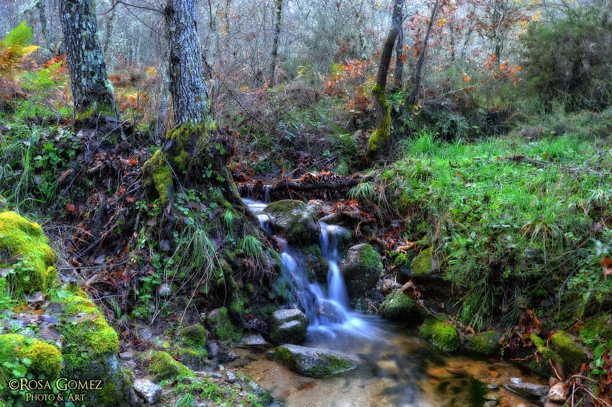 Siempre con los caminos