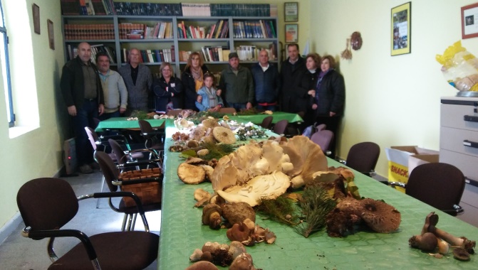 Buena jornada de setas para los aficionados de Monterrubio