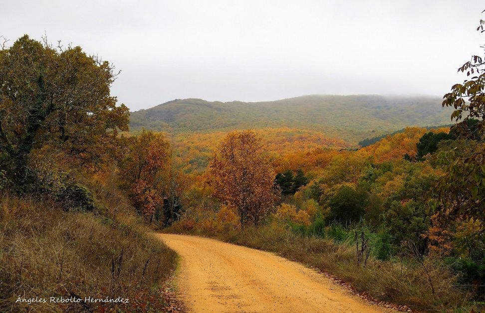 Del otoño, la Honfría