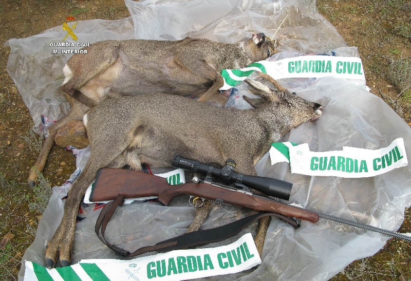 Trece arrestados en una operación contra la caza furtiva de corzos