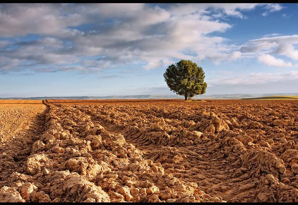 Los trabajos del alto otoño