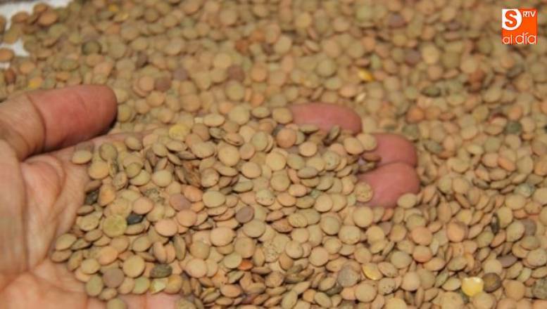 La Denominación de Lenteja de la Armuña colabora con esta programación