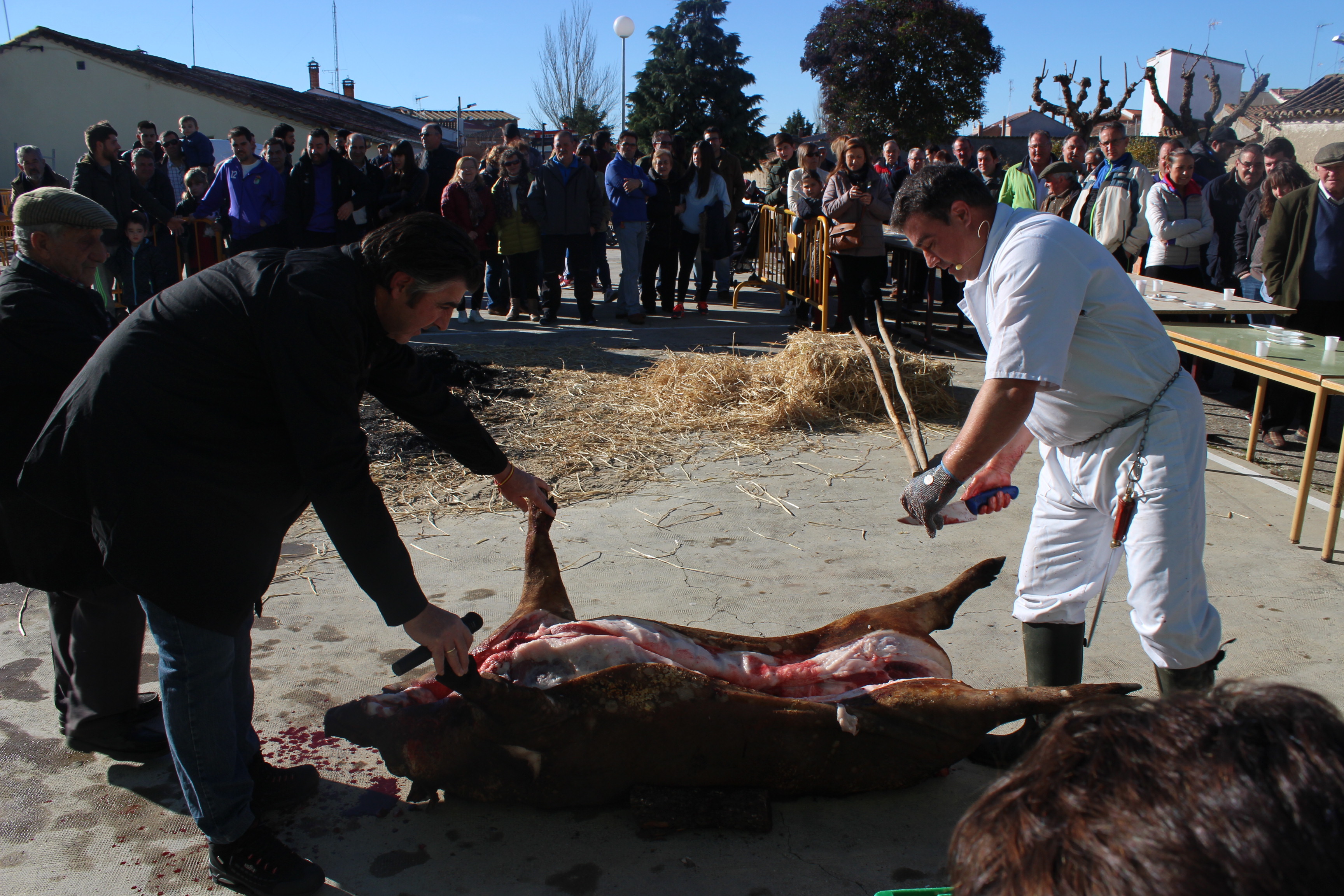 Éxito de la III Matanza Tradicional de Macotera, que ya se consolida hacia el futuro