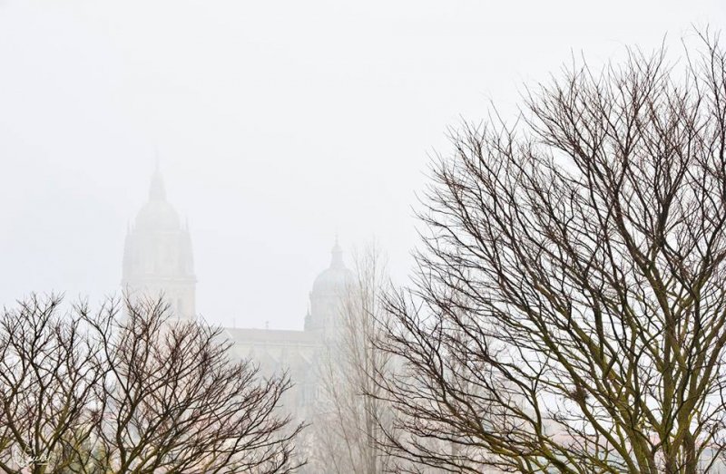 Invierno, en Salamanca