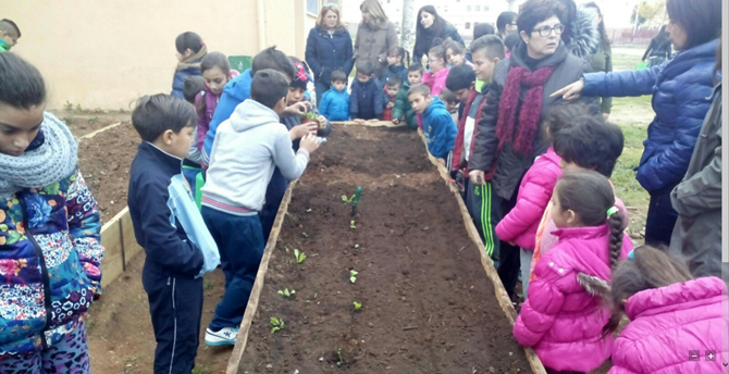El programa fue puesto en marcha por la USAL en 2013