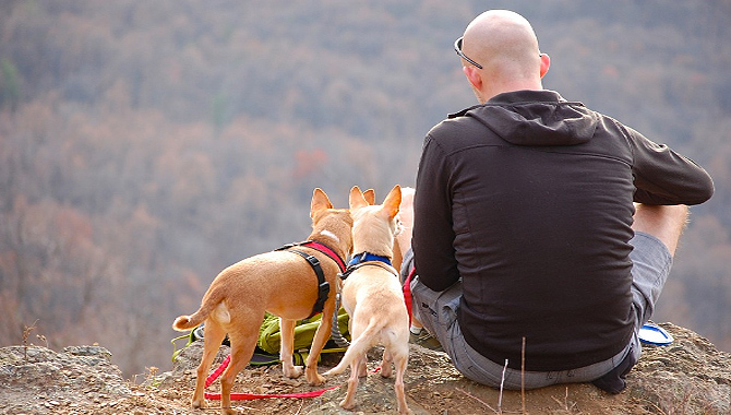 Tratamientos efectivos para enfermedades leves       
