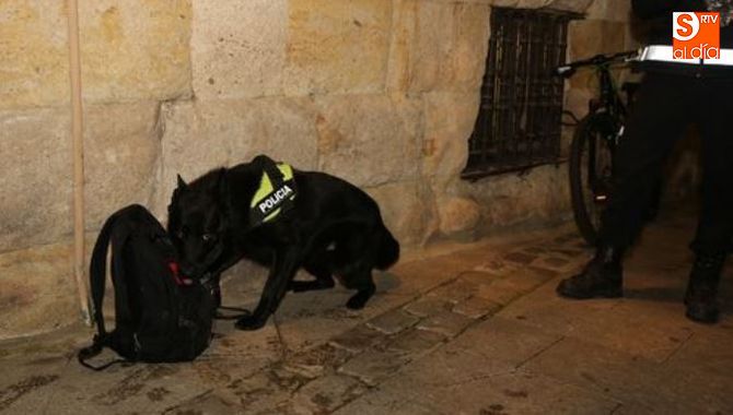 Inspecciones junto a la Plaza Mayor. Fotos: Alberto Martín