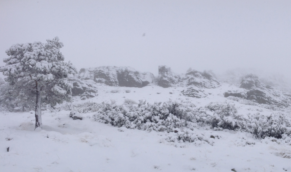 Imagen de la nevada en la sierra. Foto: Salamancaentresierras