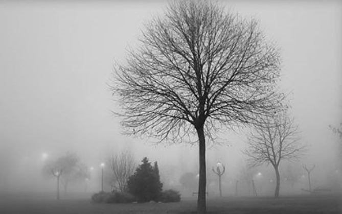 Niebla en el parque de La Fontana. Foto: Isabel Casado Morales