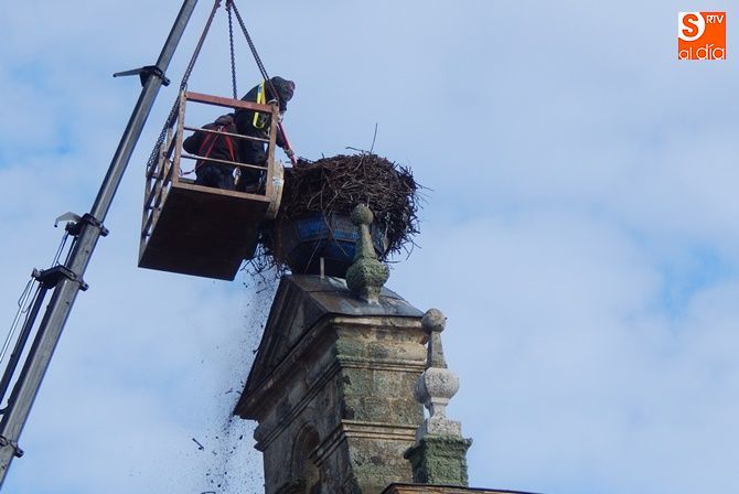 Un momento de las labores acometidas para retirar gran parte del nido en la iglesia de Almenara de Tormes