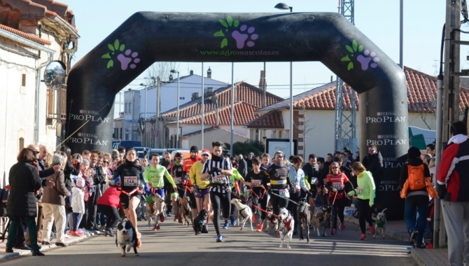 Óscar Olmo y Leticia Martín se imponen en el Canicross de Calzada de Valdunciel  