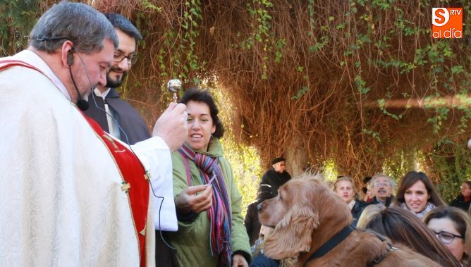 Tradicional bendición en el Campo de San Francisco. Fotos: Alberto Martín