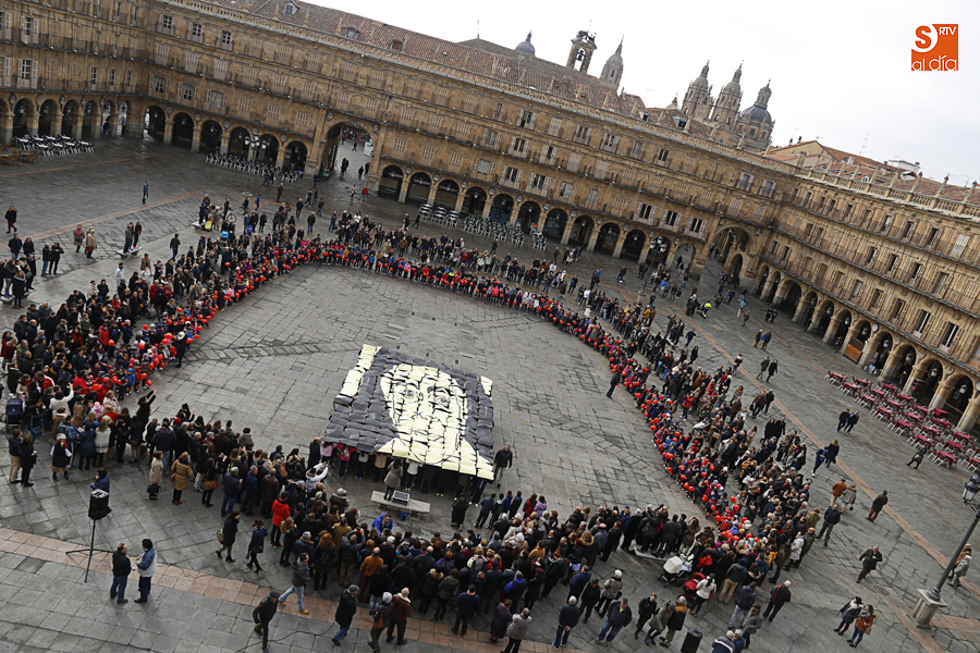 Gran mosaico realizado por el colegio en la Plaza Mayor. Foto: Alejandro López