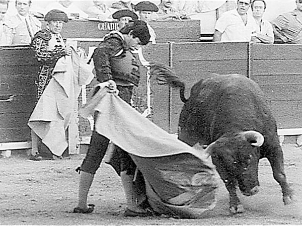 ¡Lagarto… lagarto!