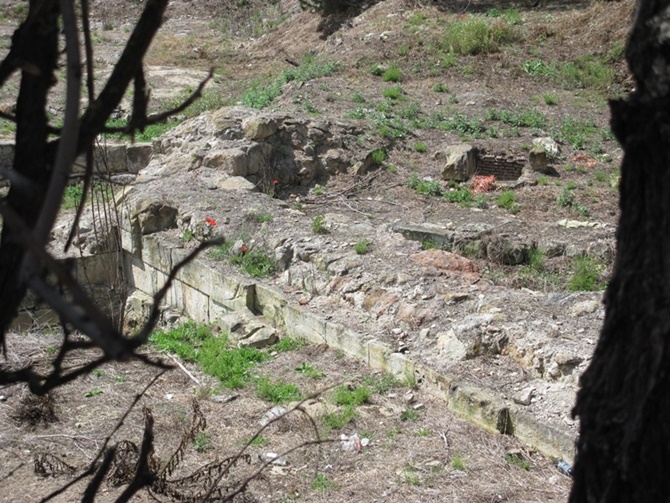 Enclave del Botánico