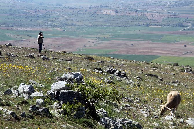 La práctica trashumante
