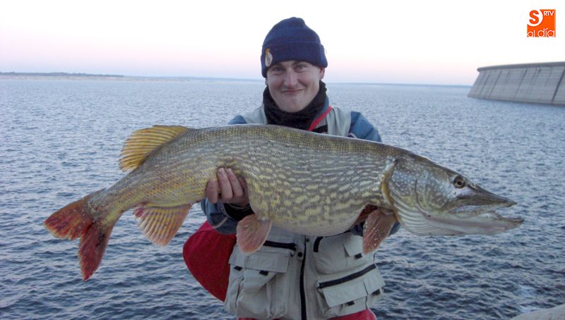 Los adicionados al lucio tienen una buena oportunidad el 12 de marzo