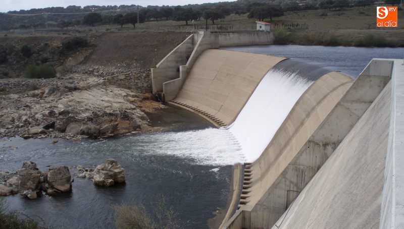 Miles de peces morían cada año en el pie de la presa al no poder remontar el curso del río