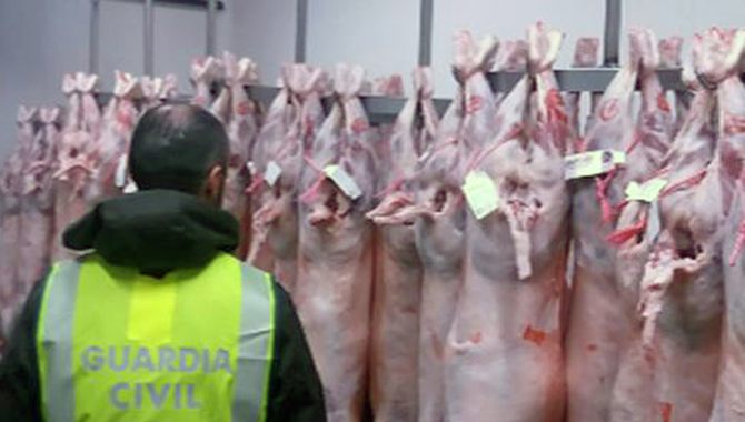 La Guardia Civil detuvo a carias personas implicadas en una estafa en Segovia por etiquetar corderos franceses como españoles