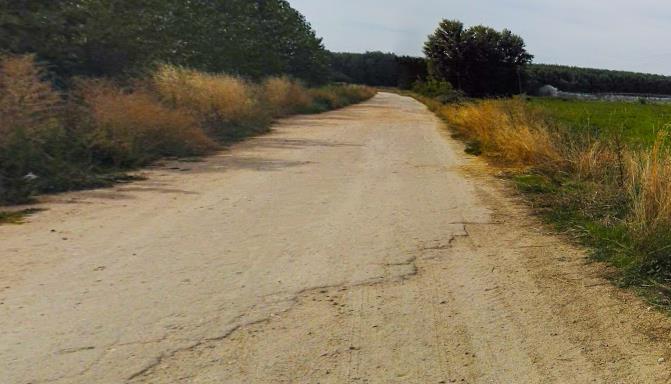 Camino del término municipal de Santa Marta de Tormes