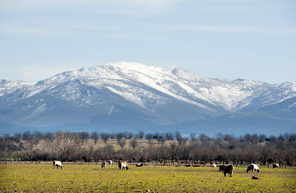 Lo más cerca del cielo