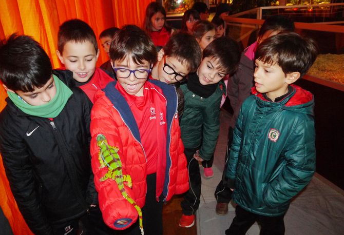 Alumnos del Colegio Calasanz visitan la exposición ‘La Fauna Reptiliana’  