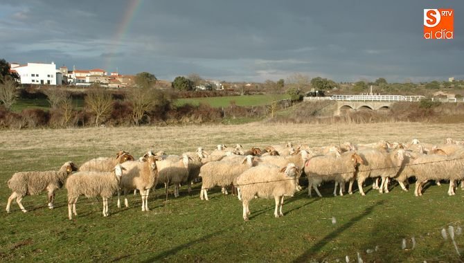 Nuevo pago de las ayudas directas de la PAC