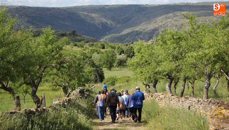 La edición 2016 de la Marcha tuvo una buena participación de senderistas  / CORRAL
