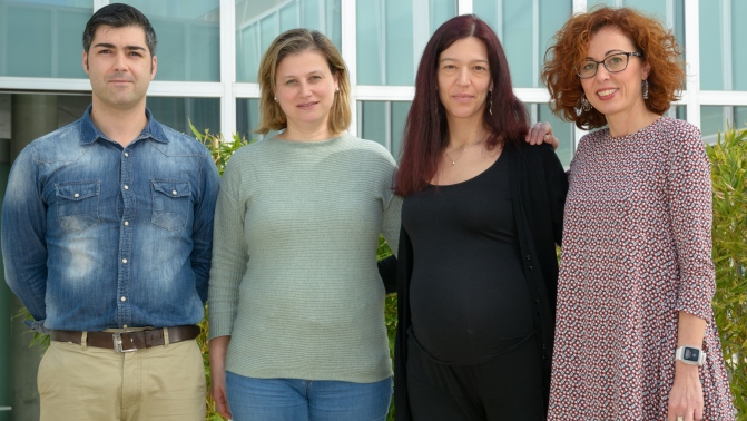 David Díaz, Ana Velasco, Verónica González y Conchi Lillo, organizadores de la Semana del Cerebro. Foto: Sergio Manzano
