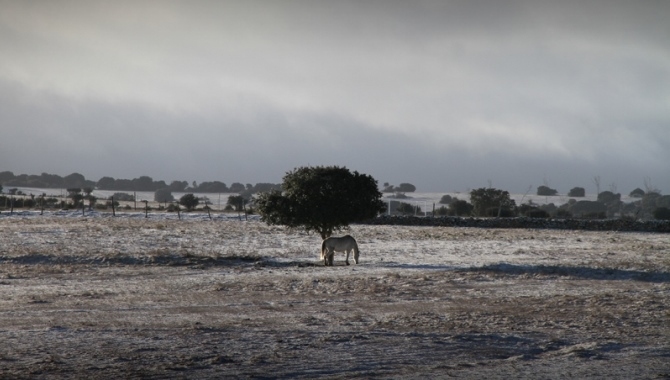 Previsión de nieve en Salamanca las próximas horas. Foto: Victorino García