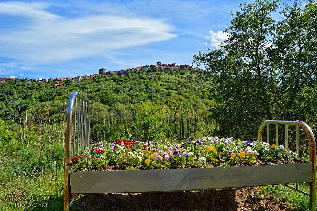 En el lecho de flores