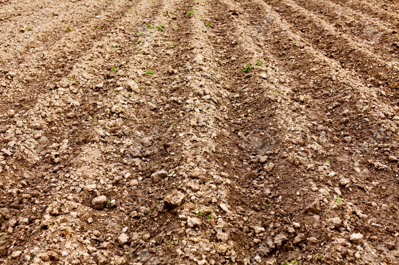 Reflexiones a bote pronto