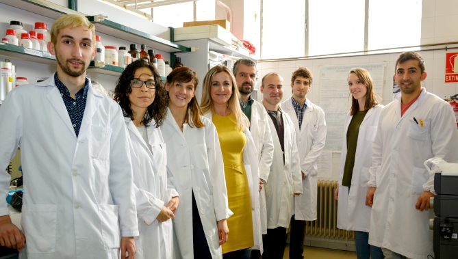 Equipo de investigación dirigido por Eva Martín del Valle, cuarta por la izquierda