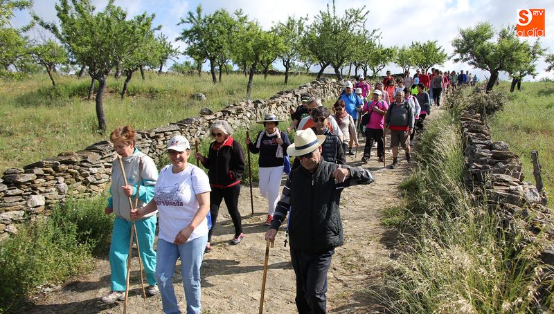 La primera edición de esta marcha resultó todo un éxito / CORRAL