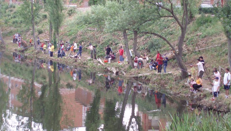 II Campeonato de Pesca de Salmónidos a Mosca lago-orilla  