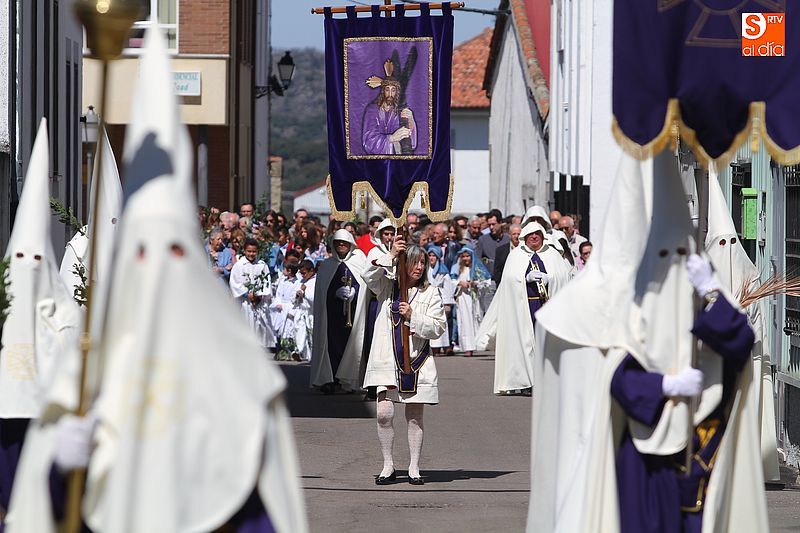 La procesión del Domingo de Ramos llena las calles de devoción
