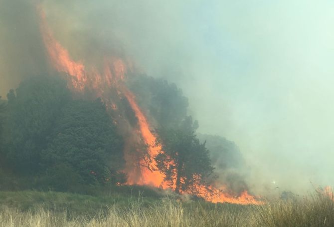 Controlado el incendio forestal que obligó a cortar la carretera de Aldealengua   