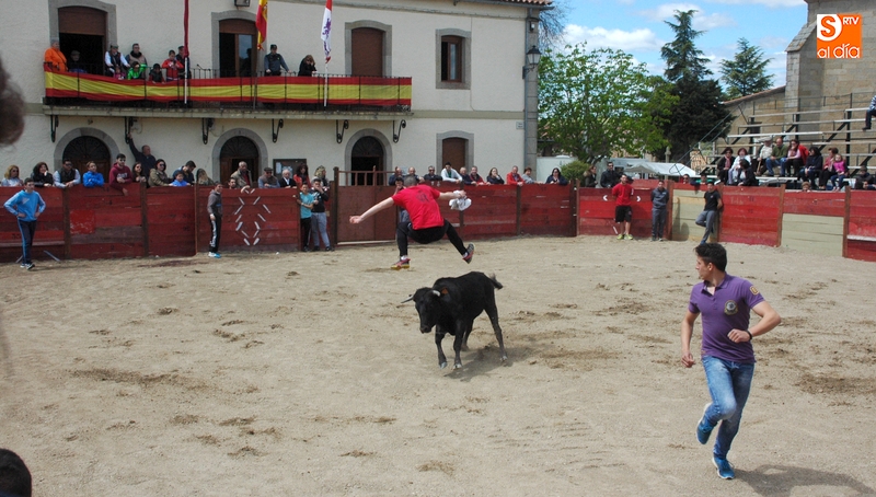 Mañana sábado está previsto un encierro y una clase práctica con cuatro novilleros
