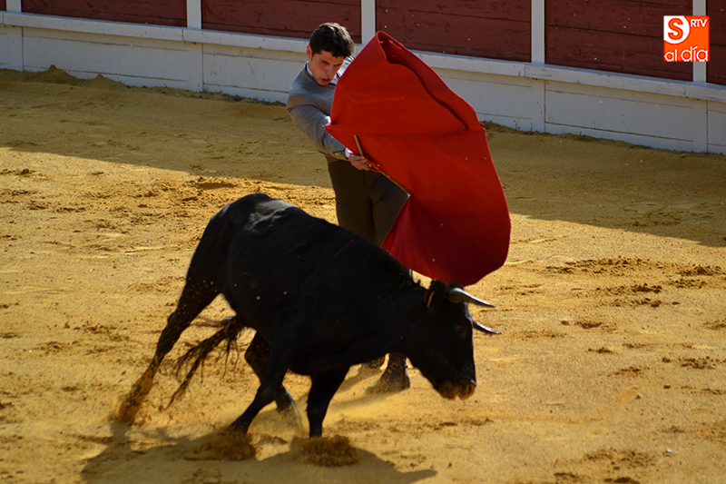 Rubén Blázquez, solvente de capote, manejó la muleta con buen criterio