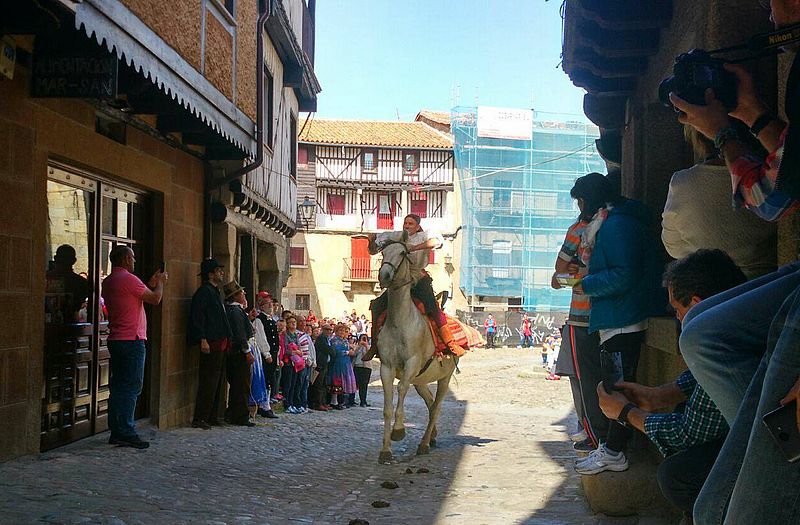 Un mozo obtiene una de las cintas que sustituye al gallo. Fotos: Ayto. de La Alberca