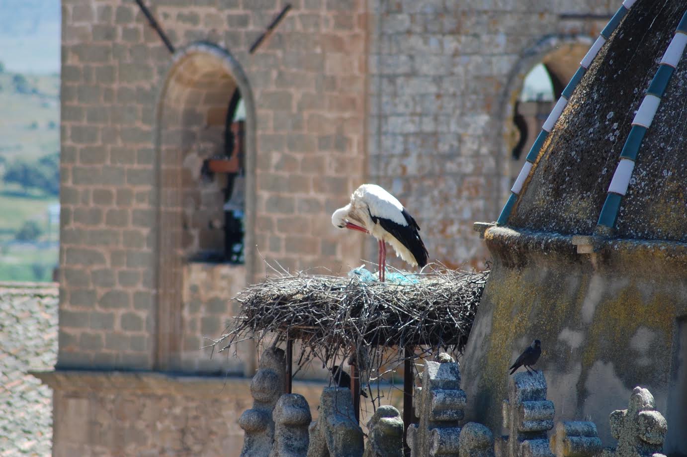 Ecos de primavera cambiante