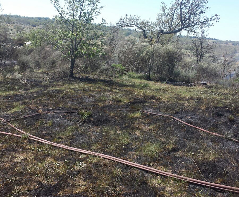 Bomberos, Guardia Civil, un agente forestal y vecinos acudieron al lugar de las llamas.