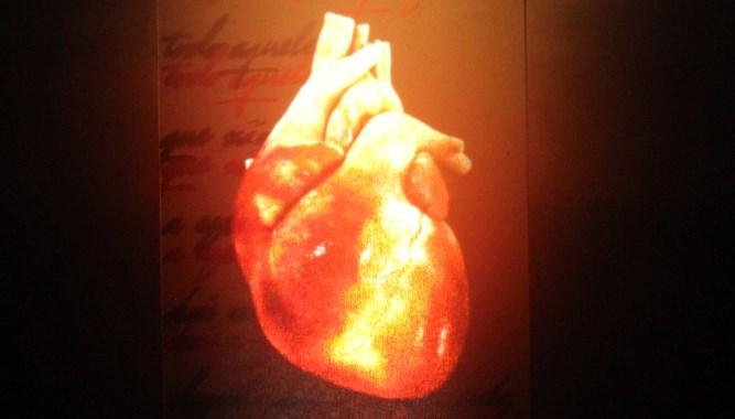 Imagen de la videoinstalación Pasaporte el corazón