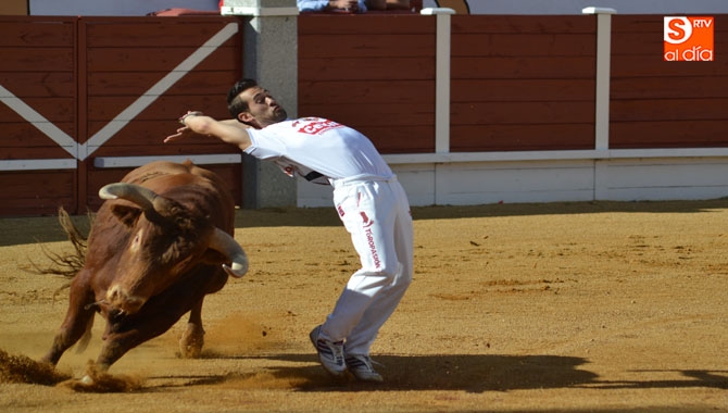 Vitigudino, Guijuelo y Alba acogerán pruebas de este certamen regional