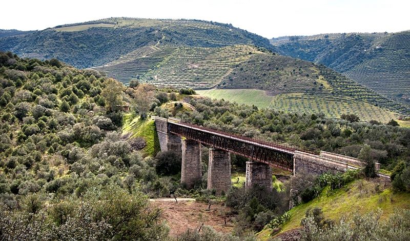 Los puentes del olvido