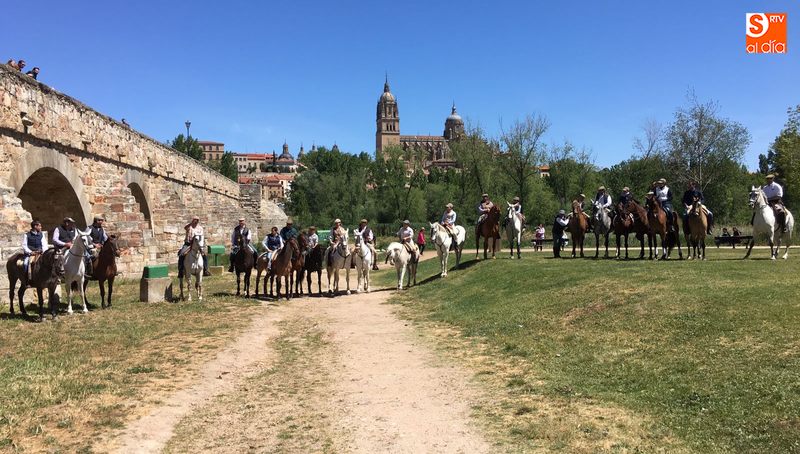 Bonita imagen con la catedral de Salamanca presidiendo el horizonte / REP. GRÁFICO: REYCONET