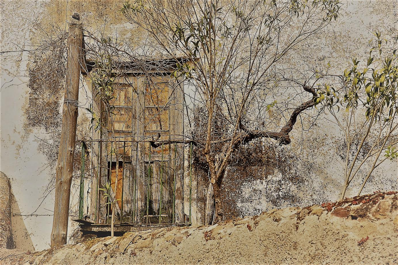 A dejar que todo siga igual…