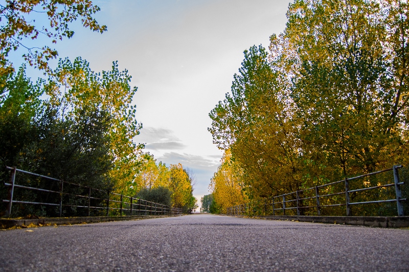 Entre Huerta y Amatos