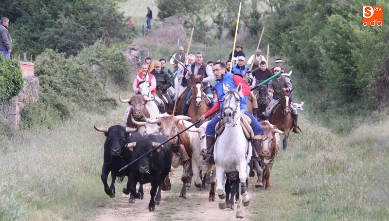 El encierro a caballo discurrió sin incidentes / FOTOS : MANUEL NICOLÁS BOGAZ