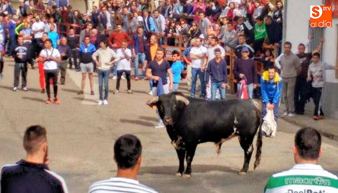 Buen ambiente y animación en las calles de Cantalpino con motivo del II Toro del Cajón / Foto de Dioni Pérez de Dios